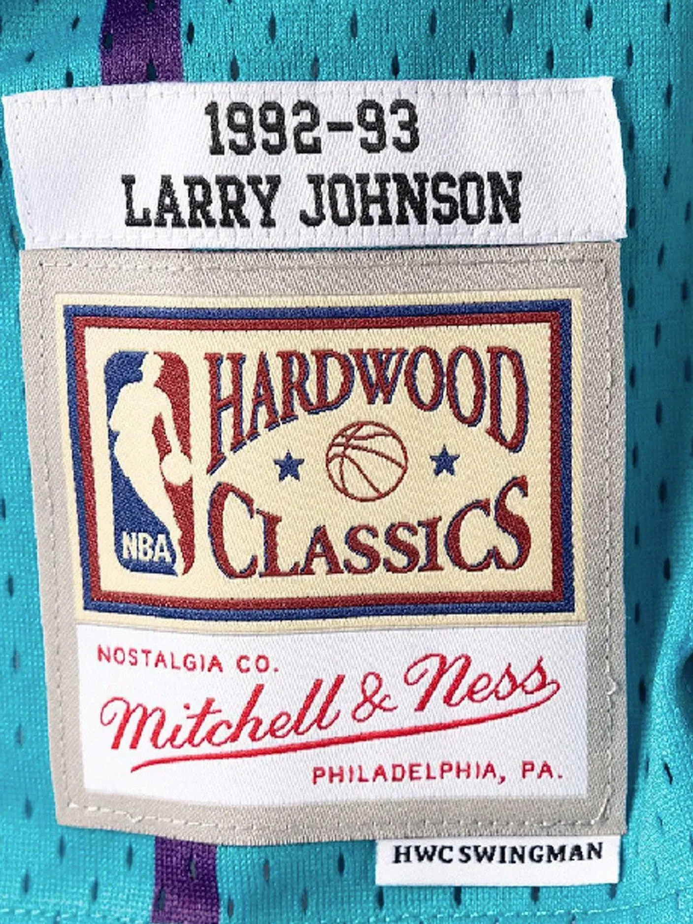 Mitchell & Ness Nba Jerseys|Tees & Singlets-Charlotte Hornets Larry Johnson 92-93 Swingman Jersey