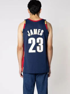 Mitchell & Ness Nba Jerseys-Cleveland Cavaliers Alternate 08-09 Lebron James Swingman Jersey